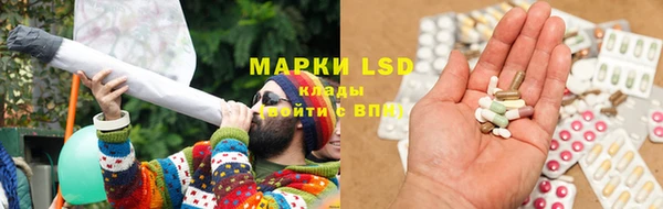 spice Новозыбков