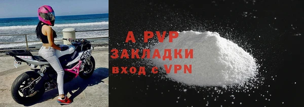 стаф Новокубанск