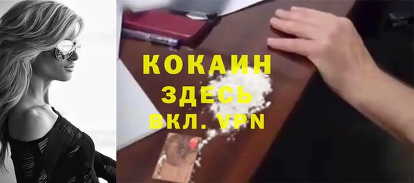 spice Новозыбков