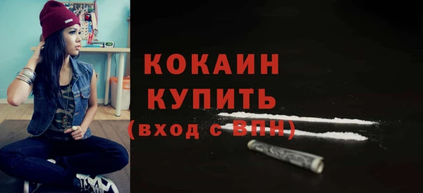 стаф Новокубанск