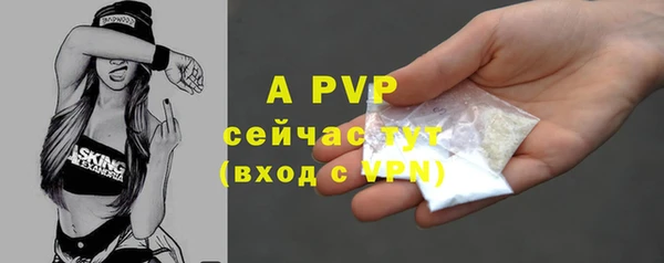 стаф Новокубанск