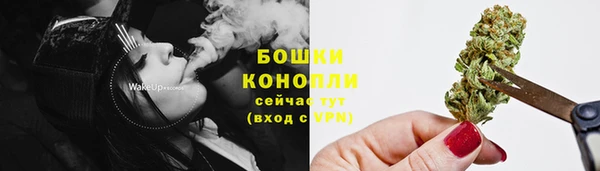 spice Новозыбков