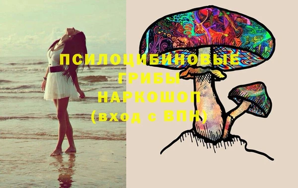 spice Новозыбков