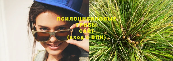 стаф Новокубанск