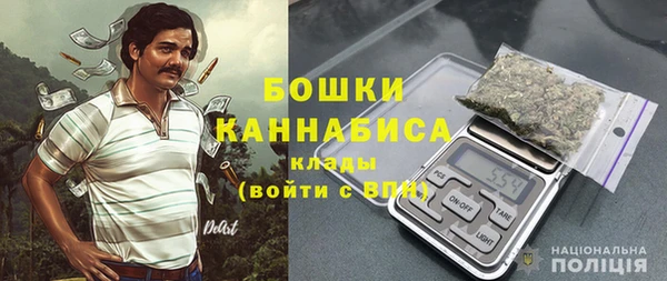 стаф Новокубанск