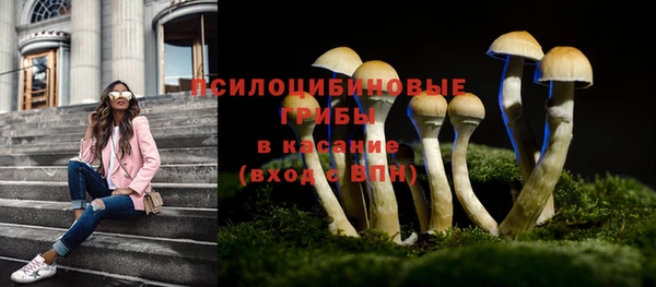 марки nbome Новодвинск