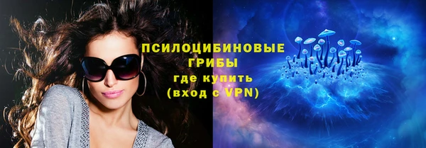 spice Новозыбков